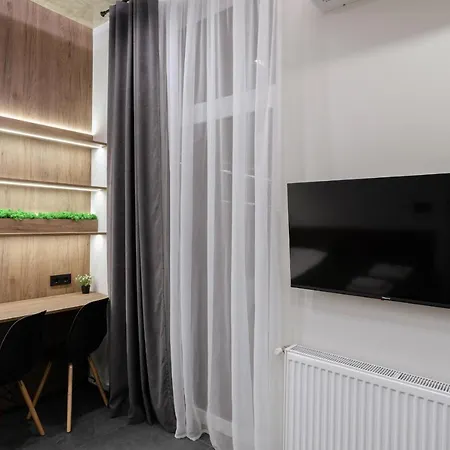 Luxury Smart House Uzhhorod