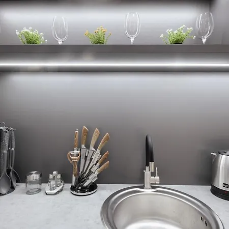 Luxury Smart House Апартаменты Ужгород