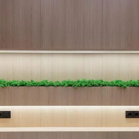 Luxury Smart House *