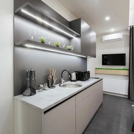 Luxury Smart House Ujgorod