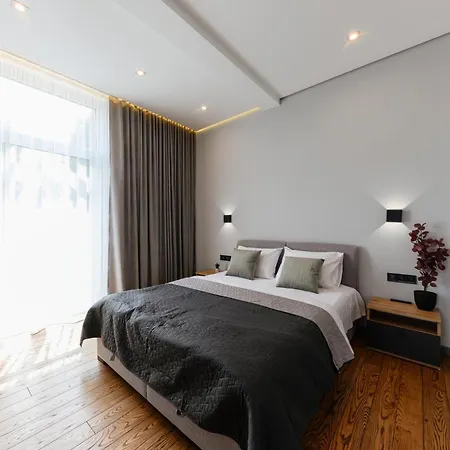 Luxury Smart House * Uzhhorod