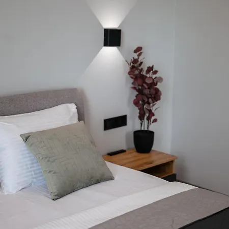 Luxury Smart House