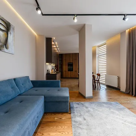 Luxury Smart House * Uschhorod