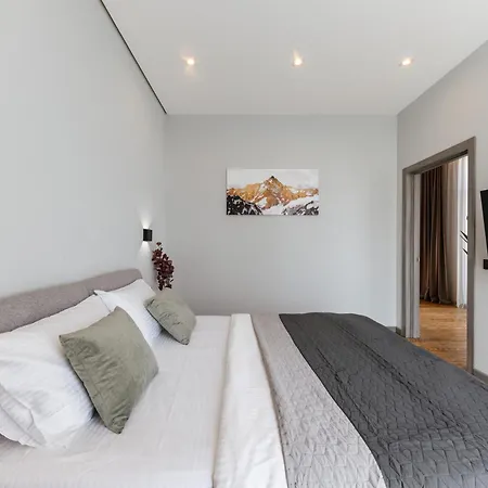 Luxury Smart House Apartment Uzhhorod