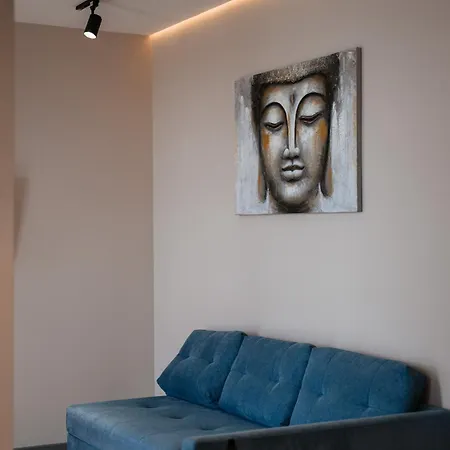 Luxury Smart House Apartment