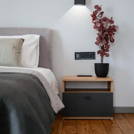 Luxury Smart House Uzhhorod