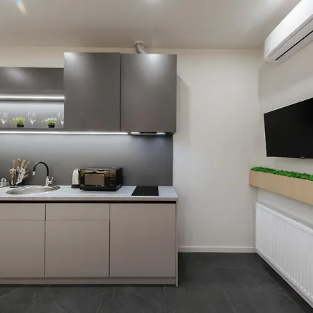 Evuri Smart House Apartmán Užhorod