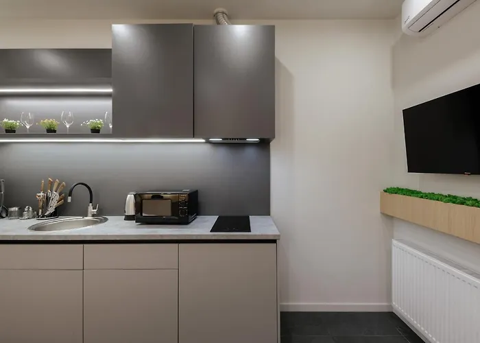 Luxury Smart House Ujgorod