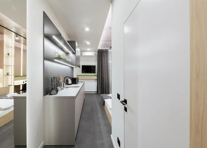 Luxury Smart House Ujgorod