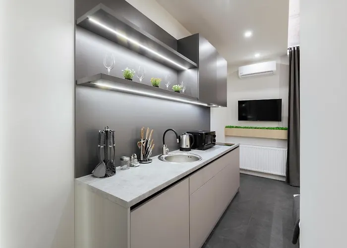 Luxury Smart House Ujgorod